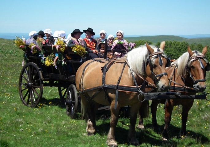 location de calèche, mariage, fête de village